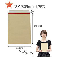ロジマート クッション封筒 DVDサイズ 【NO2】10枚 519002 1セット（直送品）