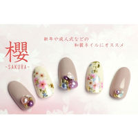 ＳＨＡＲＥＹＤＶＡ ネイルシール 桜 ピンク55919 (直送品)  1個（直送品）