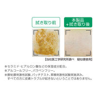 アルケア リモイス泡クレンズミニ 21362 1箱(1本入)