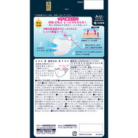小林製薬 しっとり美肌マスク就寝用 ふつうMサイズ 3枚 851278 1袋(3枚入)