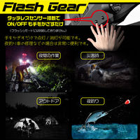 ヒロ・コーポレーション 充電式デュアルヘッドライト HDL-DHL01 1台