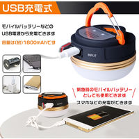 グリーンクロス LEDランタン 2個セット 6300025691 1台