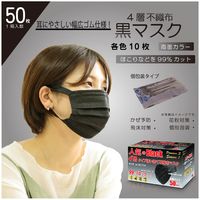 数量限定 マスク 訳あり 福袋 メンズ カラー ウレタン 立体型 冷感 黒マスク 4層 3層 不織布 お得 使い捨て お試し（直送品）