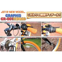 池商 クロスバイク 6SP GR-001K20-BKBL（直送品）