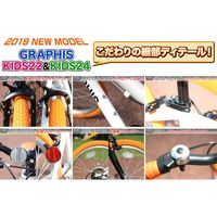 池商 クロスバイク 6SP GR-001K24-BKBL（直送品）