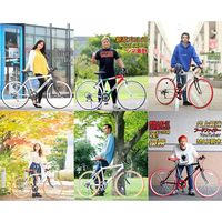 池商 クロスバイク26 6SP GR-001v2-L-PK（直送品）