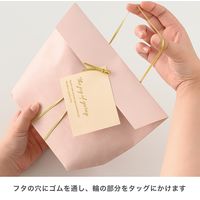 ヘッズ ニューモダン舟形ペーパーバッグ-2 30枚(10枚×3) NMD-B2P 1セット(30枚入)（直送品）