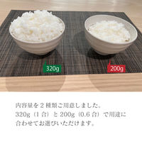 パックごはん 加賀飯 200gタイプ1セット(36食入)