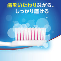 アクアフレッシュ ハブラシ ふつう 1セット（6本） 歯ブラシ Haleonジャパン