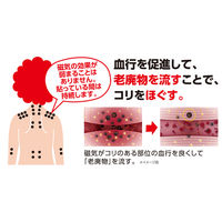 ピップ エレキバン130 磁束密度130ミリテスラ 1箱（48粒入） ピップ