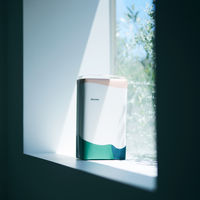 アテント 大人用おむつ かくさないパッケージ　下着爽快プラス超うす型パンツ  2回 Lサイズ 60枚:（3パック×20枚入）エリエール 大王製紙