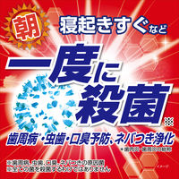 ゼローラ モーニングウォッシュ 殺菌 トータルケア 歯周病・虫歯・口臭予防 450mL 1セット（3本）【医薬部外品】 小林製薬