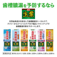 歯磨き粉 生葉 （しょうよう） 息スーッと実感タイプ 歯槽膿漏を防ぐ 薬用ハミガキ しつこい口臭に 100g 1セット（2本）小林製薬