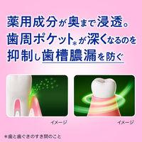 ディープクリーン 薬用ハミガキ つや美白 ロイヤルハーブの香味 100g 1セット（2本） 花王 歯磨き粉 歯槽膿漏・歯肉炎・口臭予防 ホワイトニング