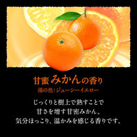 バブ 至福の柑橘めぐり浴 12錠入×2箱 花王 (透明タイプ)