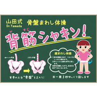 山田式 骨盤ストロングベルト M 1個 ミノウラ　腰サポーター