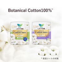 ライナー 14cm ロリエ しあわせ素肌 パンティライナー BOTANICALCOTTON100％ 天然消臭 1セット（54枚×6個） 花王