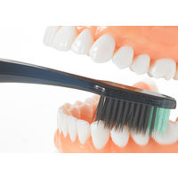 DENTALPRO（デンタルプロ） ブラックダイヤ 超極細毛ロング かため 1セット（3本） 虫歯予防 歯周病 歯ブラシ