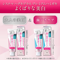 歯磨き粉 ホワイトニング システマ ハグキプラス プレミアムハミガキ シルキーフローラルミント 95g 1セット（2本）ライオン