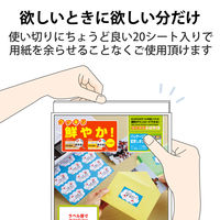ラベルシール 宛名シール 21面 インクジェット専用 ラベル枚数：420枚 EDT-TI21 エレコム 1セット（20シート入×3個）