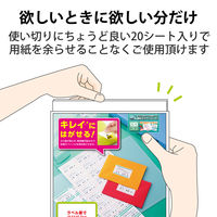 エレコム 宛名・表示ラベル/再剥離可能/21面付/20枚 EDT-TK21 1セット(3個)（直送品）