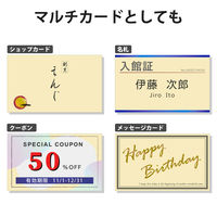 エレコム 名刺/厚口/250枚/アイボリー MT-JMN2IVZ 1セット(3袋)（直送品）