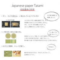 畳イス　リラッサ　高さ505mmタイプ　乳白色　広浜　（直送品）