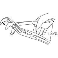 ロブテックス ウォーターポンププライヤ（バネ付）　250ｍｍ WP250S 1丁