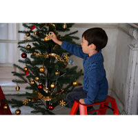 Hasegawa(長谷川工業) アルミ合金 踏み台 ルカーノ ツーステップ レッド 2段 56cm ML2.0-2(RD) 1台（直送品）