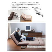 セルタン カバーリングソファーベッド　MORIITO ダリアンブラウン DMT3a-561BR 1台　（直送品）