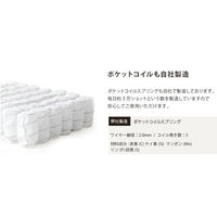 セルタン　ソファChoice（ソファチョイス）　シングル　PVCレッド　1人掛 レッド 1台　（直送品）