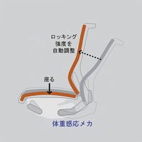設置込】イトーキ エピオス オフィスチェア メッシュタイプ ハイバック（グレーフレーム・樹脂脚）肘無 ロッキングレンジ調節 背座：ラズベリーレッド（直送品）