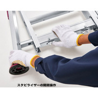 長谷川工業　脚部伸縮式スタビライザー付2連はしご　ハチ型　LSS21.0-44　（直送品）