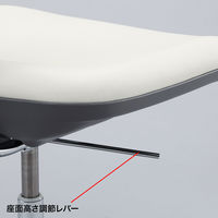 サンワサプライ　導電チェア　SNC-D32　（直送品）