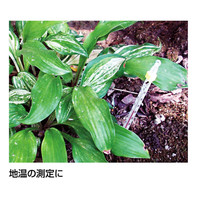 棒状温度計　H　アルコール　-20～105℃　30cm　72508　1セット（20個）　シンワ測定　（直送品）