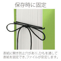 プラス 背幅伸縮FセノバスEX A5E GR FL-042SL  1セット（2冊）（直送品）