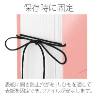 プラス セノバスエコノミー樹脂とじ具伝票 PK FL-062SE  1セット（3冊）（直送品）