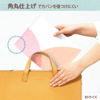 プラス PASTY CH B5 PP FL-710P5 5枚  1セット（5枚）（直送品）