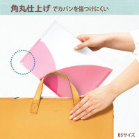 プラス PASTY CH B5 CP FL-710P5 1セット(5枚)（直送品）