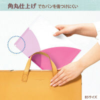 プラス PASTY CH B5 RP FL-710P5 1セット(5枚)（直送品）