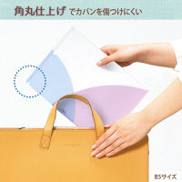 プラス PASTY CH B5 BP FL-710P5 1セット(5枚)（直送品）