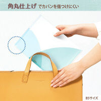 プラス PASTY CH B5 SB FL-710P5 1セット(5枚)（直送品）