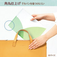 プラス PASTY CH B5 MG FL-710P5 1セット(5枚)（直送品）