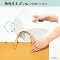 プラス PASTY CH B5 VW FL-710P5 1セット(5枚)（直送品）