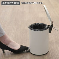 テラモト ペダルボックス(静音タイプ) ブラック 3L DS2387037 1セット(2個)