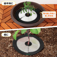 コモライフ 虫よけアルミシート 大小6枚組 390459 1セット(大小6枚組)（直送品）