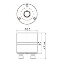 FOSTEX ホーンスーパーツィーター T96A-SA（限定） 1個（直送品）