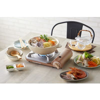 イワタニ カセットコンロ カセットフー 達人スリムプラス CB-TS-PLS 1台 岩谷産業