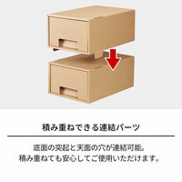 天馬 フィッツ クラフトケース 引出式 多目的(A4) 814000002 1個