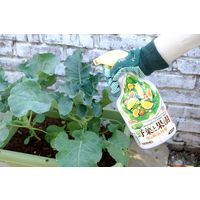 アース製薬 食べる野菜と果樹 虫&病気対策 1000ml 4901080043412 1個（直送品）
